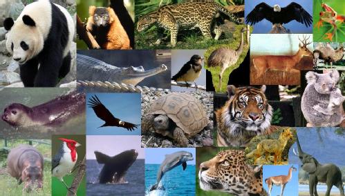 Animales extintos